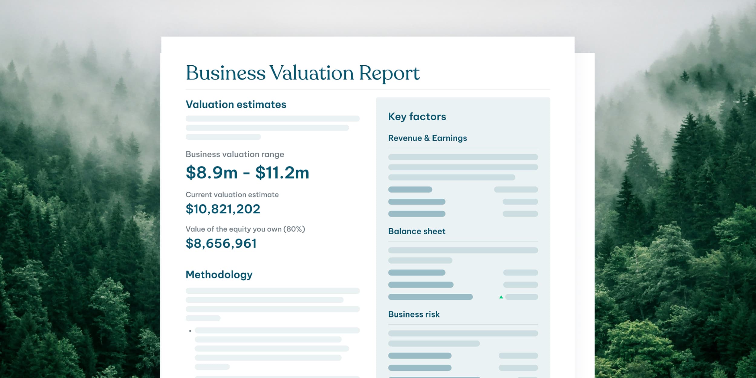 Business valuation report over a forest background