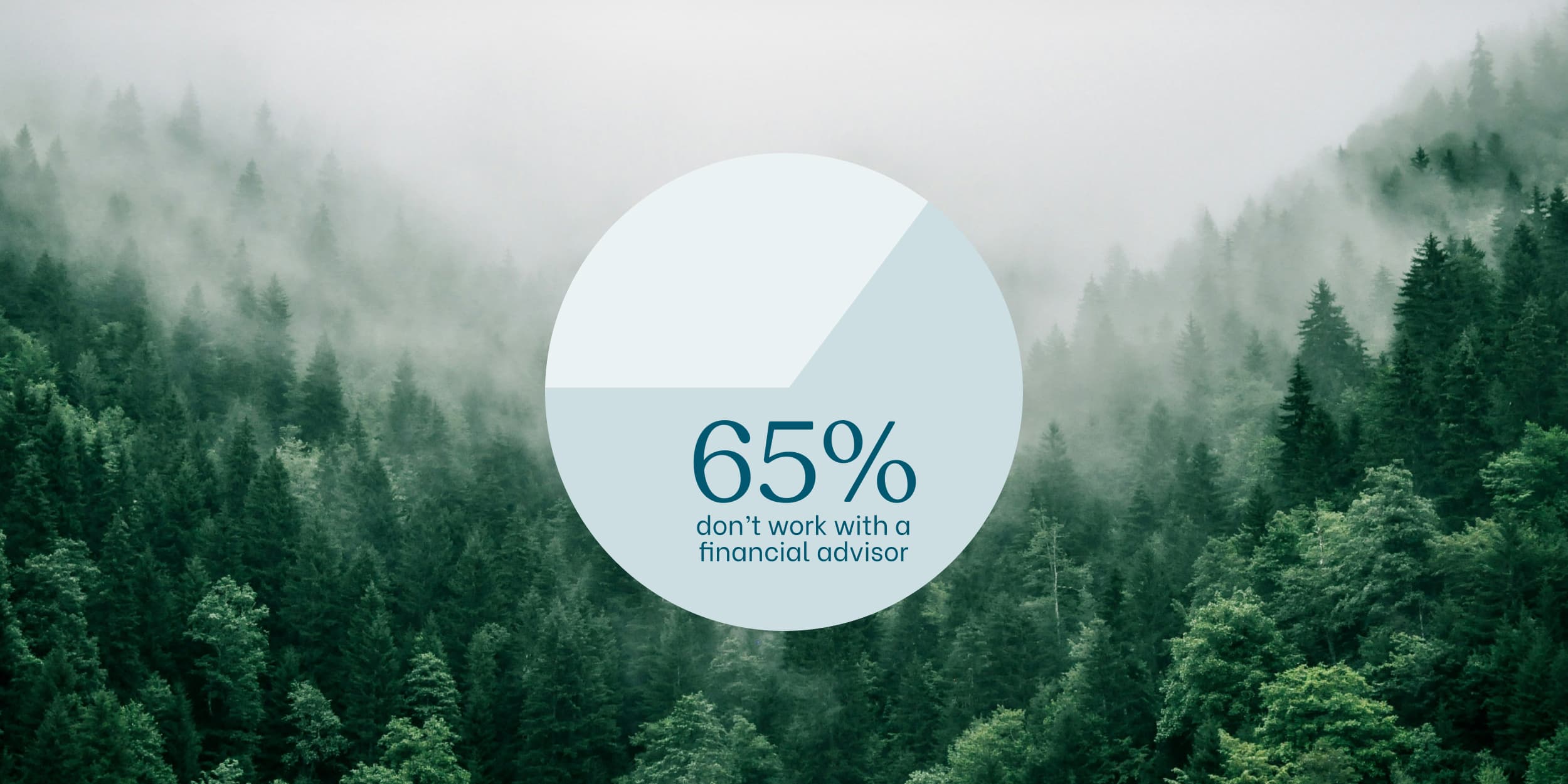 Graphic showing that 65% do not work with a financial advisor over a forest background